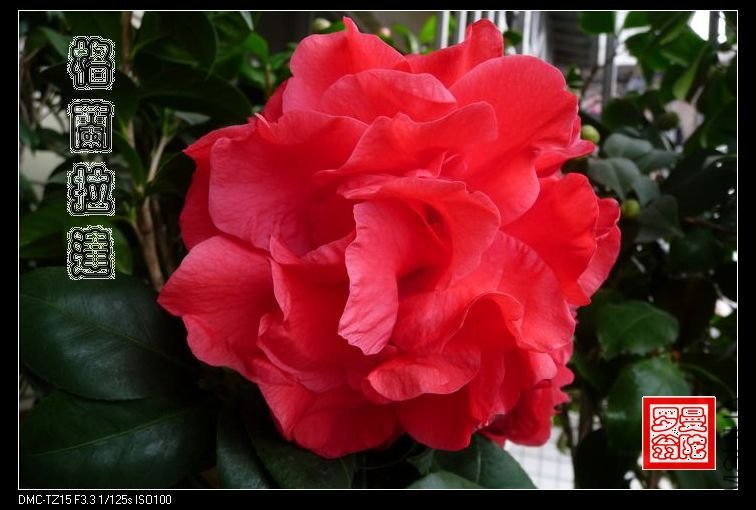 2011��������-05.jpg