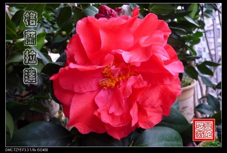 2011��������-06.jpg