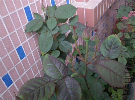 2011-03-28_08-00-46_842_����.jpg