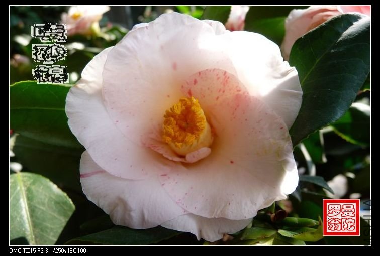 2011��ɰ��-03.jpg