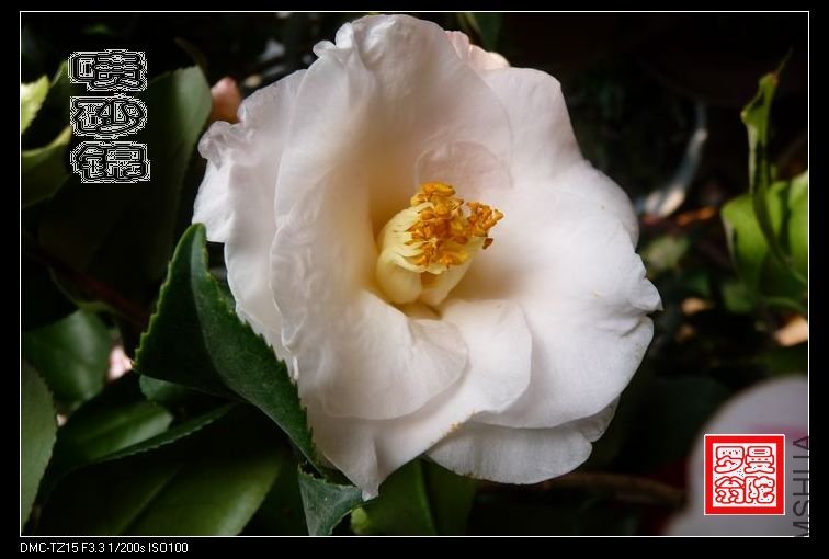 2011��ɰ��-06.jpg