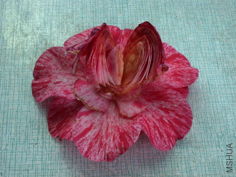 DSCN7867.jpg