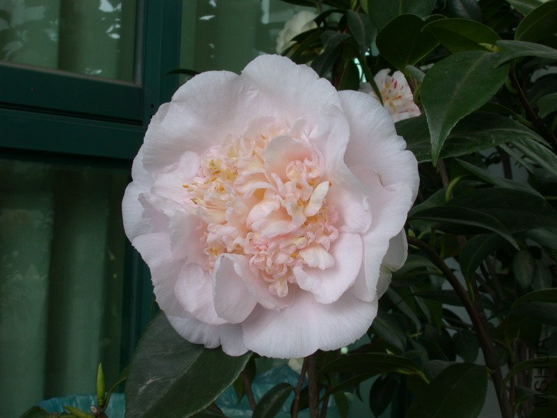 ����֮��