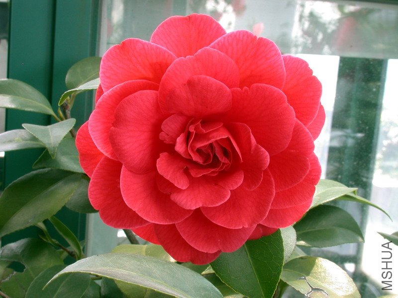 �������