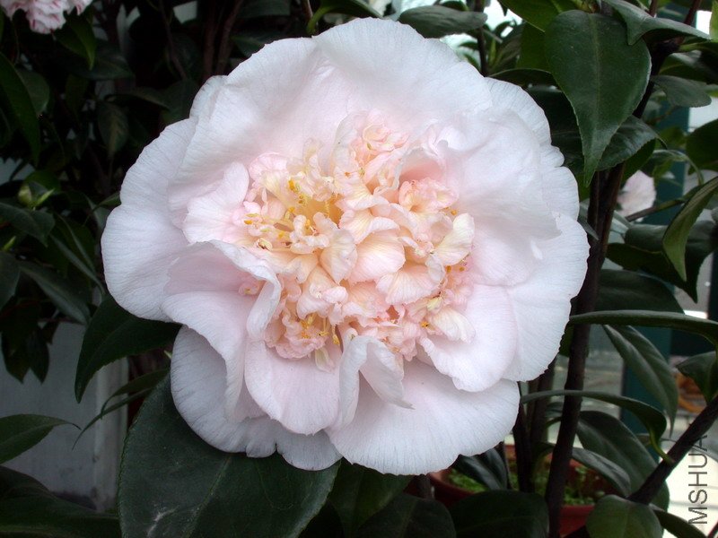 ����֮��