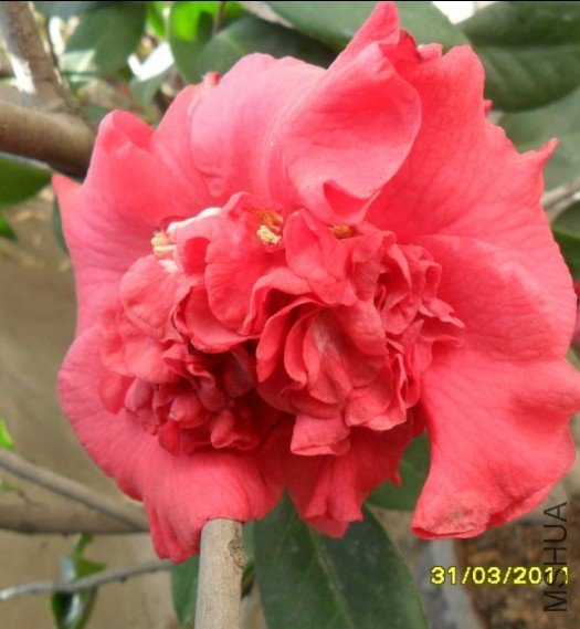 ~CYZ}CL_8B_CK}_08~JYOD3.jpg