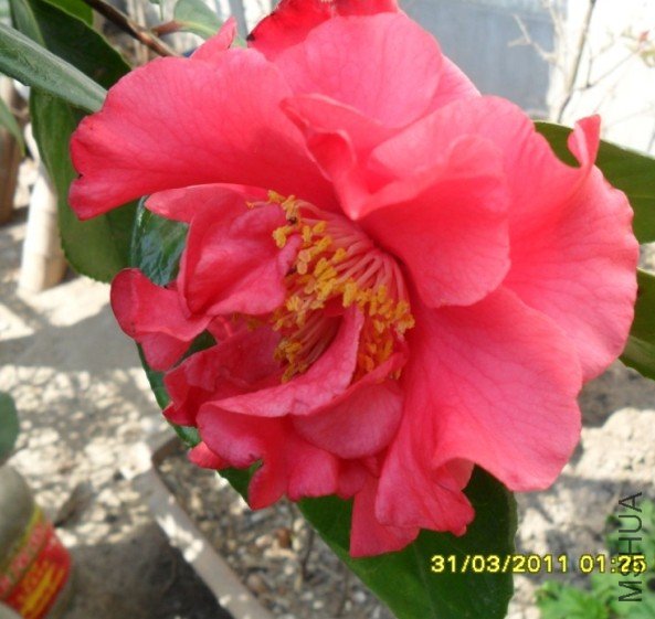 %XMXFT9@8H3ARN6AL7(B}YW.jpg