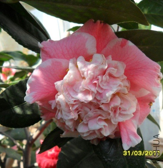 F73I@M38~_9DRM522W4]WGC.jpg