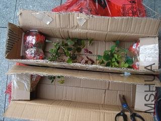 DSC04330.JPG