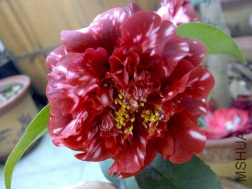 20110401765.jpg