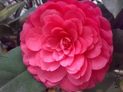 20110321750.jpg
