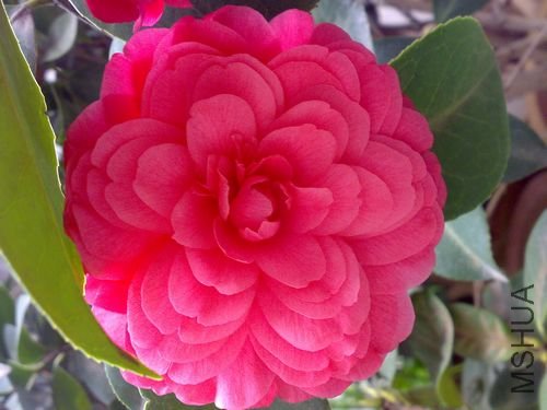 20110321741.jpg