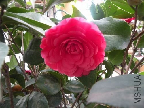 DSCN3746.JPG