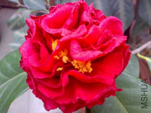 20110311710.jpg