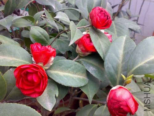 20110401759.jpg