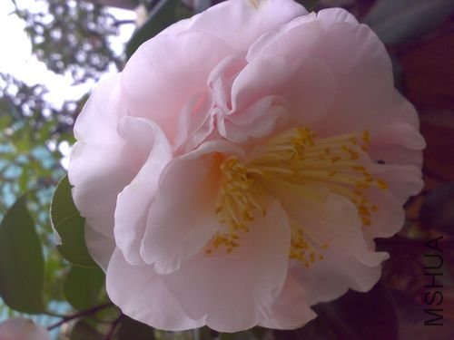 20110311713.jpg