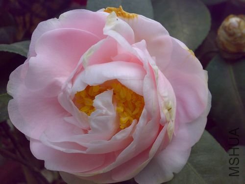 20110401755.jpg