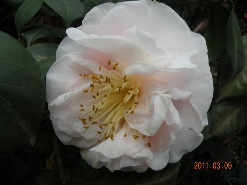 DSCN3698.JPG