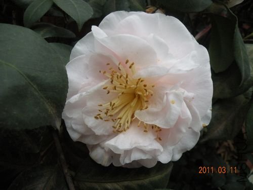 DSCN3730.JPG