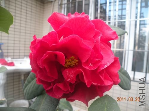 DSCN3742.jpg