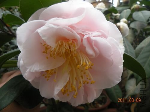 DSCN3697.JPG