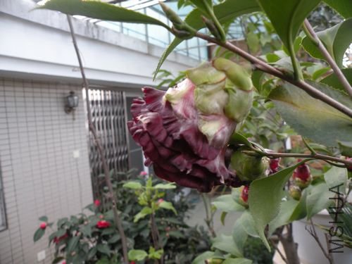 DSCN3749.JPG