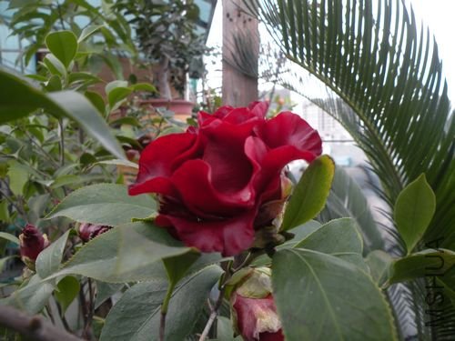 DSCN3750.JPG