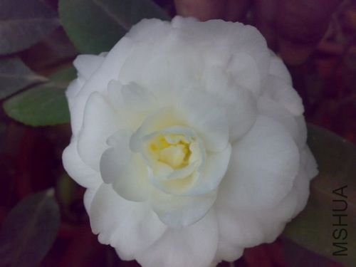 20110321744.jpg