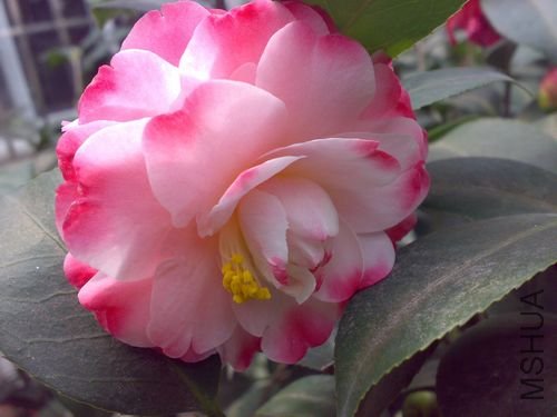 20110321746.jpg