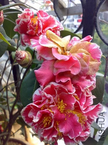 20110401756.jpg