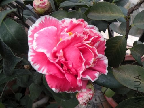DSCN3751.JPG