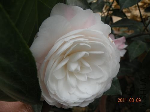 DSCN3712.JPG