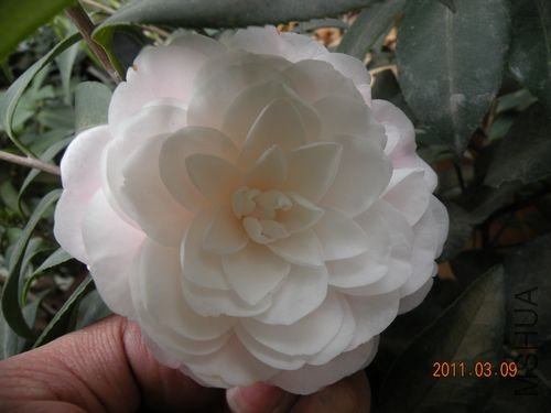 DSCN3710.JPG