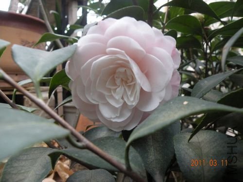 DSCN3728.JPG