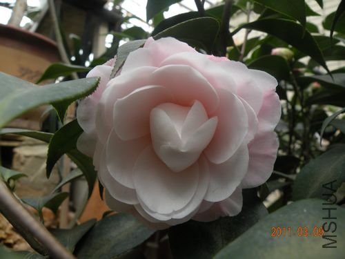 DSCN3709.JPG
