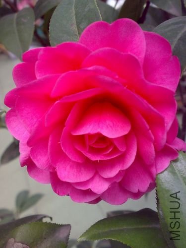 20110321742.jpg