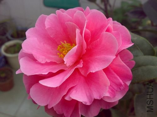 20110401760.jpg