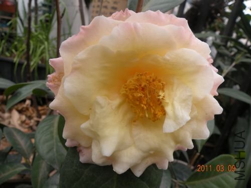 DSCN3700.JPG
