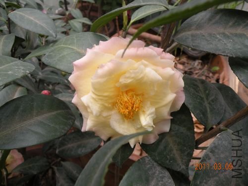 DSCN3701.JPG