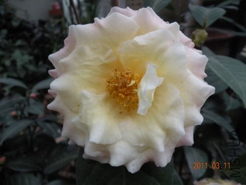 DSCN3731.JPG