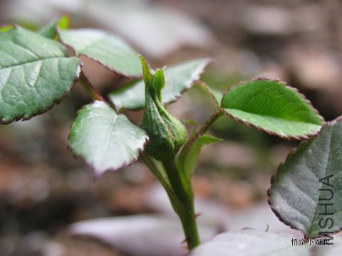 2011���� 057.JPG