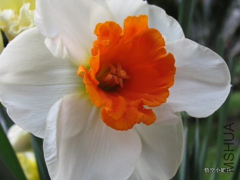 2011���� 047.JPG