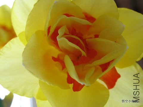 2011���� 040.JPG