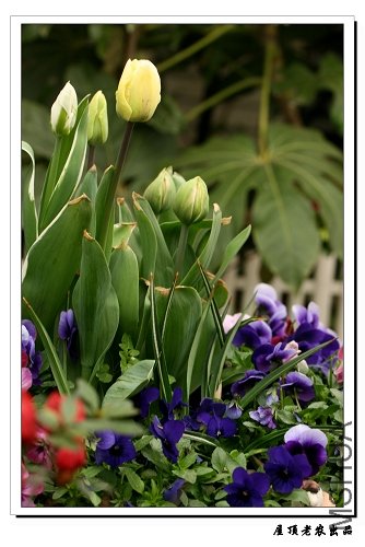 ������������ ��֮��