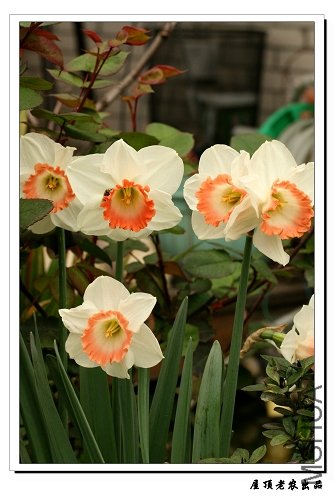 ��ˮ�ɣ�����