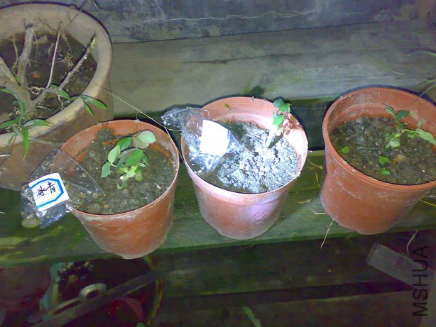 20110226635.jpg