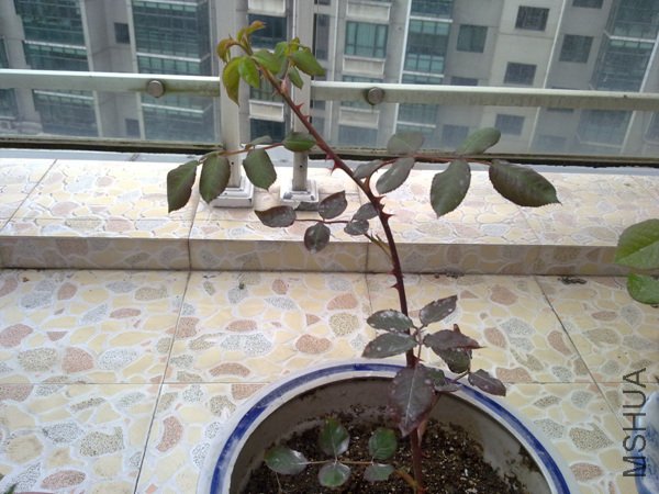 ��Ƭ 063.jpg