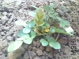 ��ת IMG0402103400.jpg