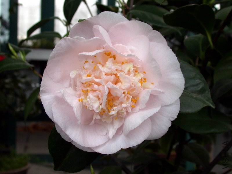 ����֮��