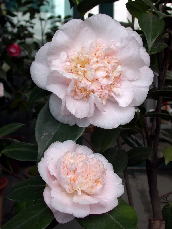 ����֮��